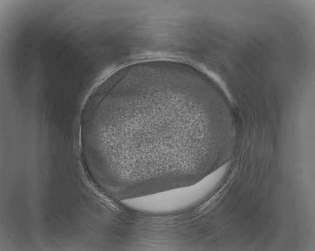 X0000073981365200609181705