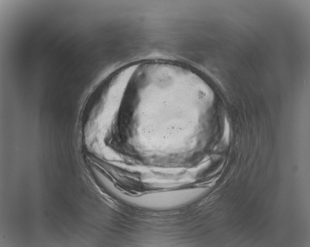 X0000073981367200609181705