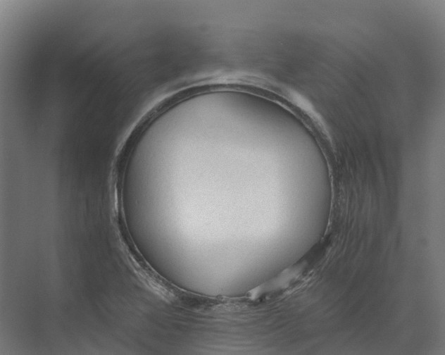 X0000073981368200609181705