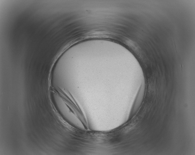 X0000073981370200609181705