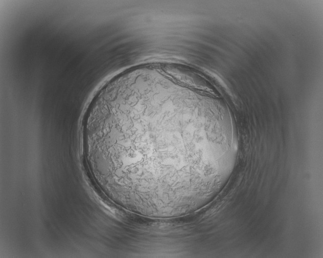 X0000073981371200609181705