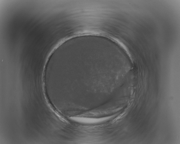 X0000073981373200609181705