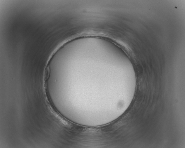 X0000073981374200609181705