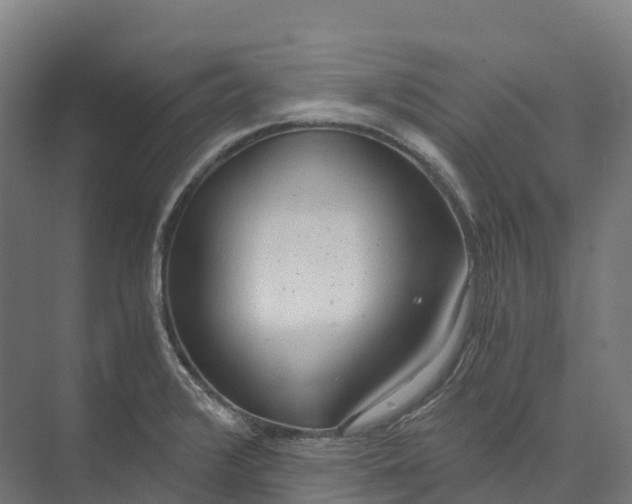 X0000073981376200609181705