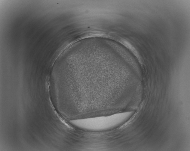 X0000073981377200609181705