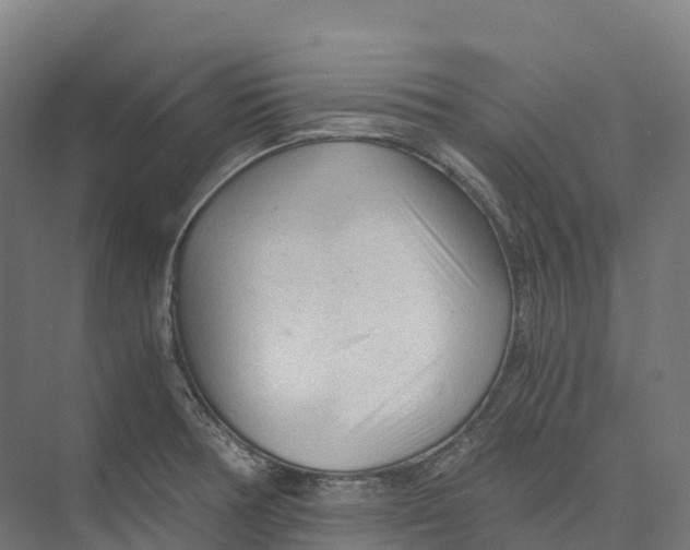 X0000073981378200609181705