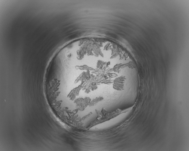 X0000073981379200609181705