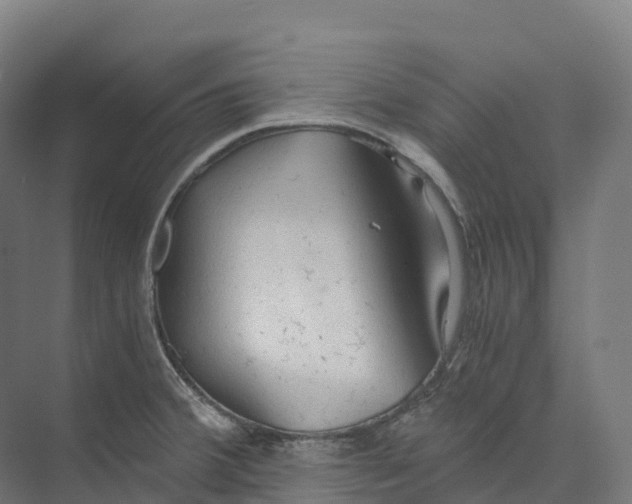 X0000073981380200609181705