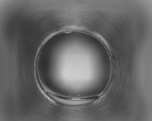 X0000073981381200609181705