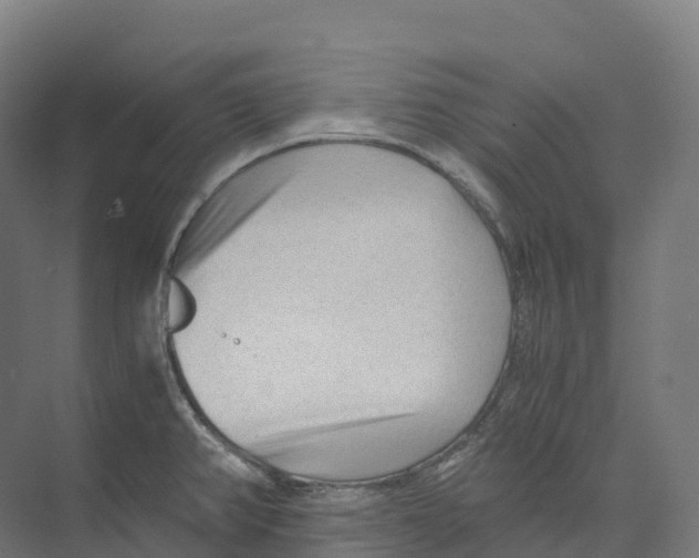 X0000073981382200609181705