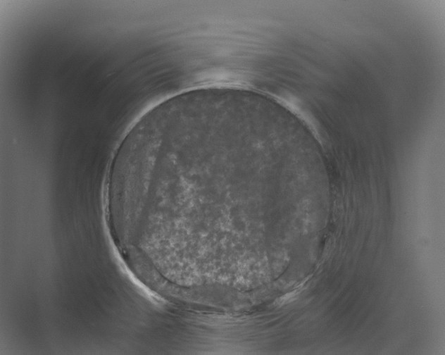 X0000073981383200609181705