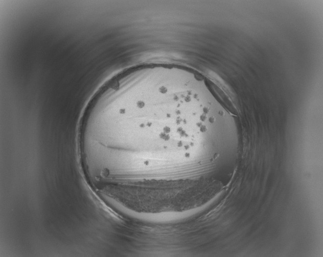 X0000073981384200609181705