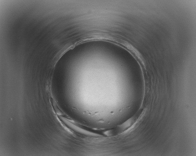 X0000073981385200609181705