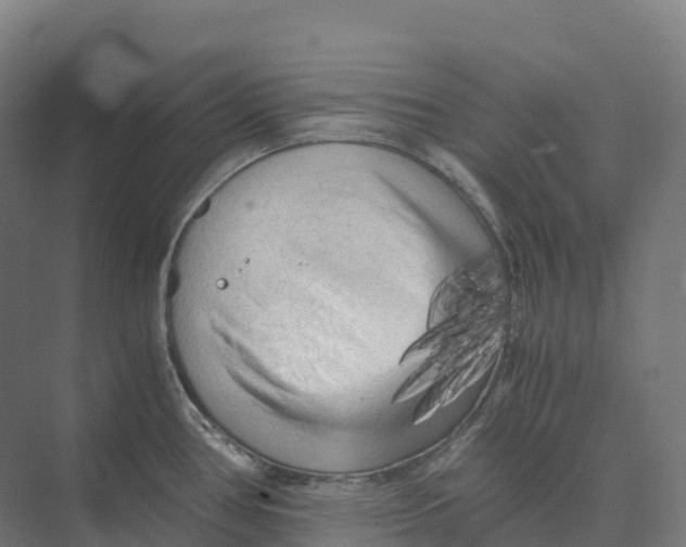 X0000073981386200609181705