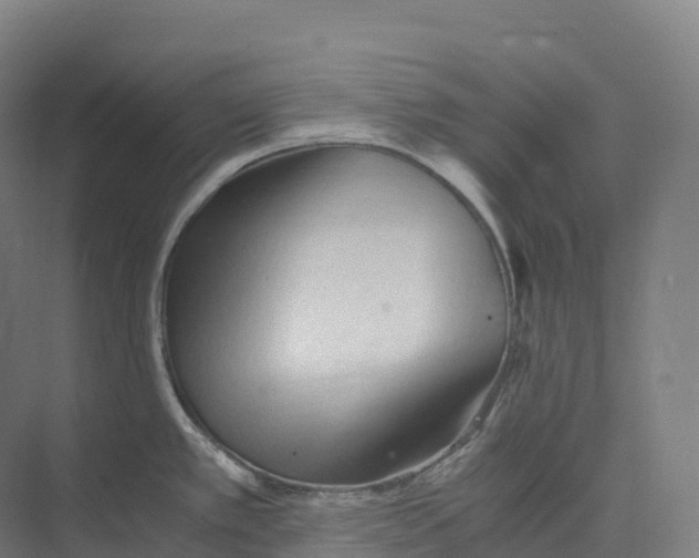 X0000073981389200609181705