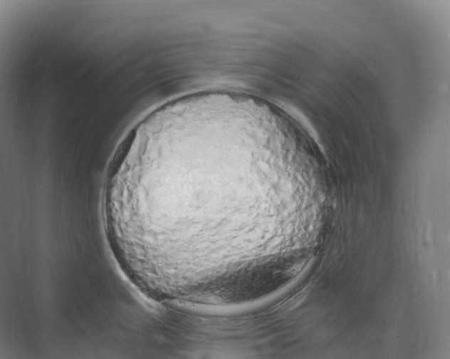 X0000073981391200609181705