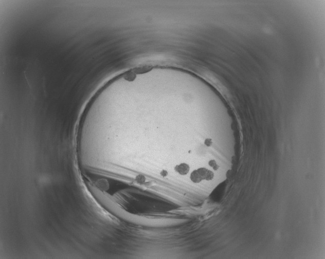 X0000073981392200609181705