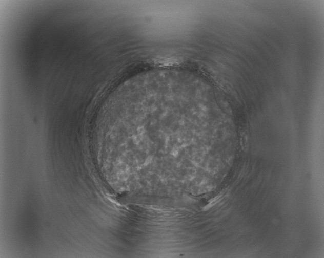 X0000073981393200609181704