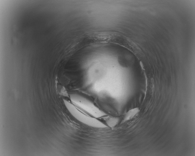 X0000073981394200609181704