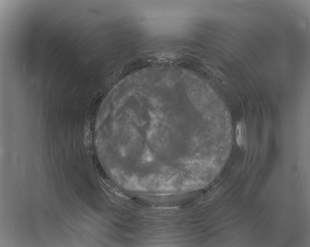 X0000073981395200609181704