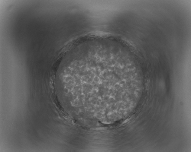 X0000073981397200609181704