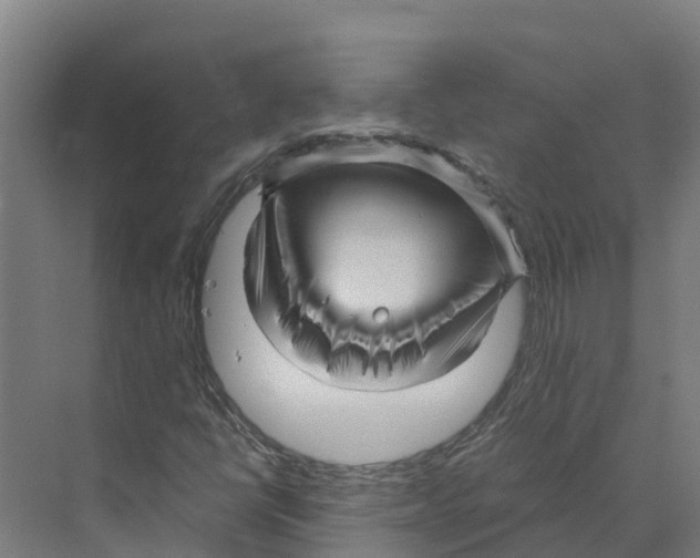 X0000073981398200609181704