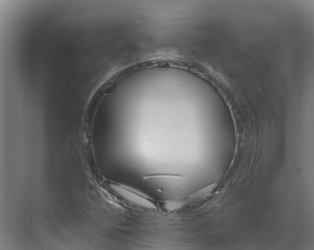 X0000073981400200609181704