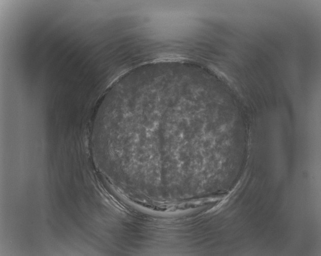 X0000073981401200609181704