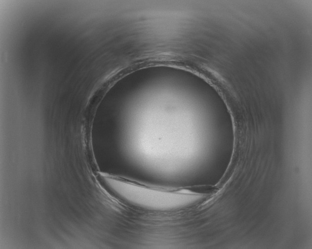 X0000073981402200609181704