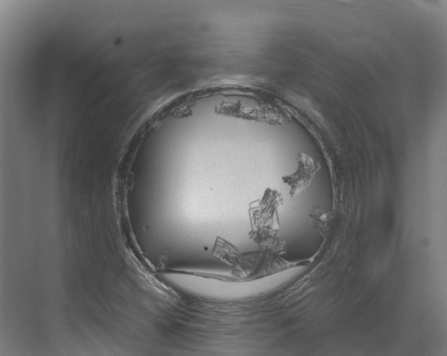 X0000073981404200609181704