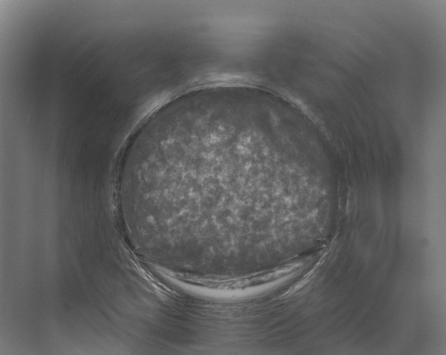 X0000073981405200609181704