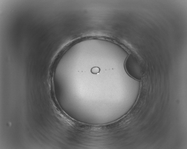 X0000073981408200609181704