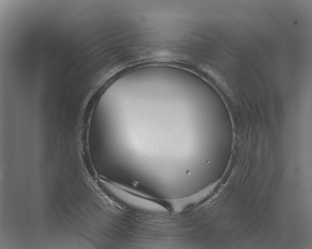 X0000073981410200609181704