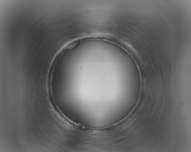 X0000073981412200609181704