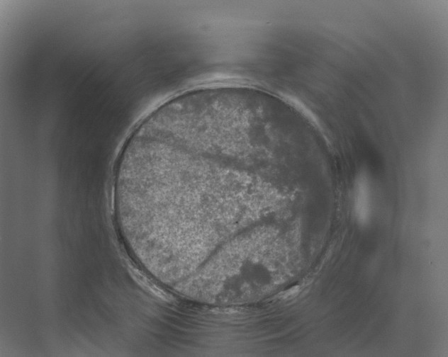 X0000073981413200609181704