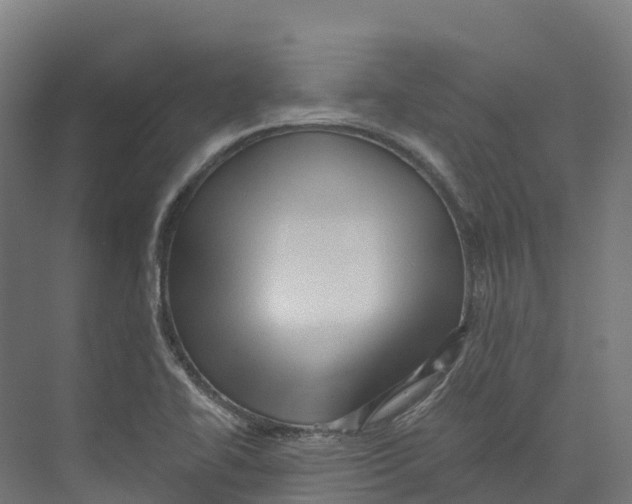 X0000073981414200609181704