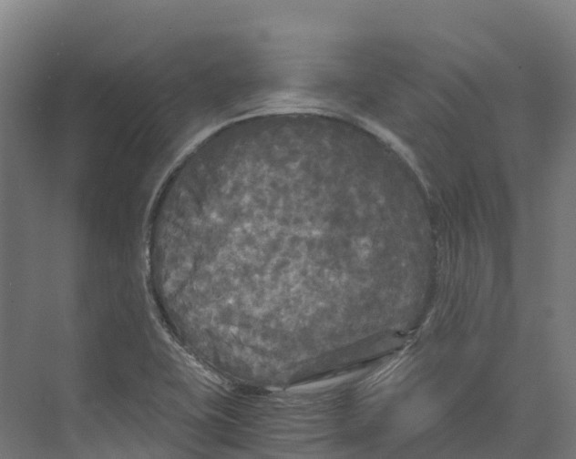 X0000073981415200609181704