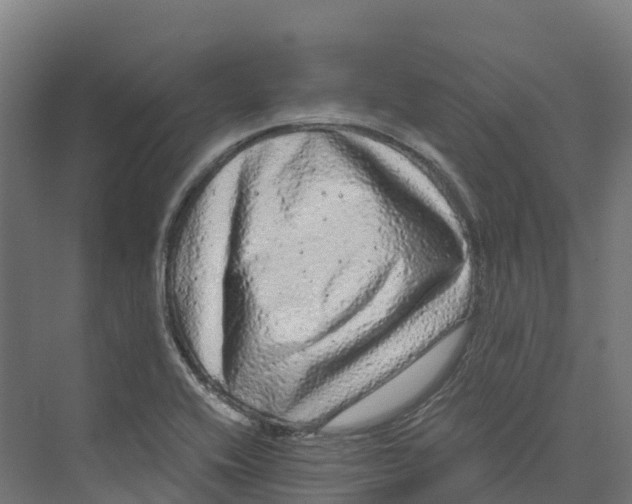 X0000073981416200609181704