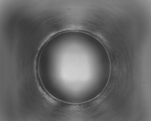 X0000073981422200609181705