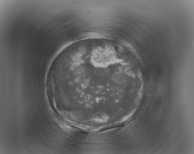 X0000073981427200609181705