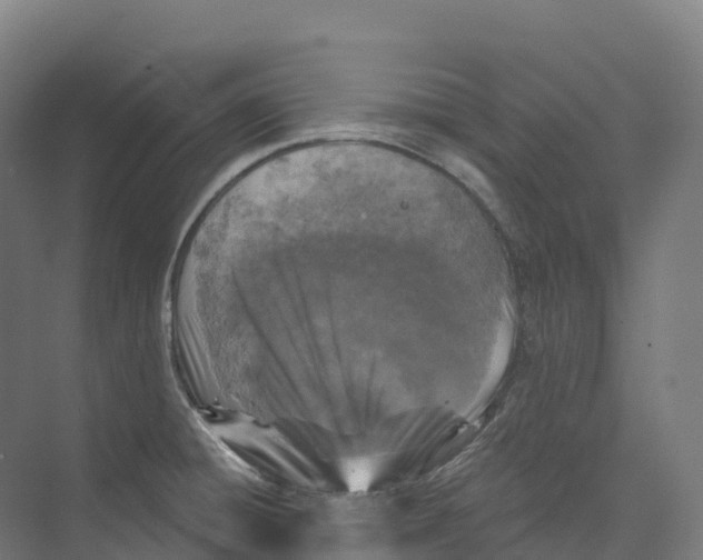 X0000073981428200609181705