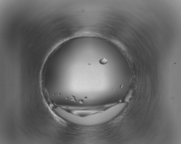 X0000073981430200609181705