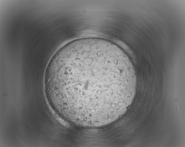 X0000073981431200609181705