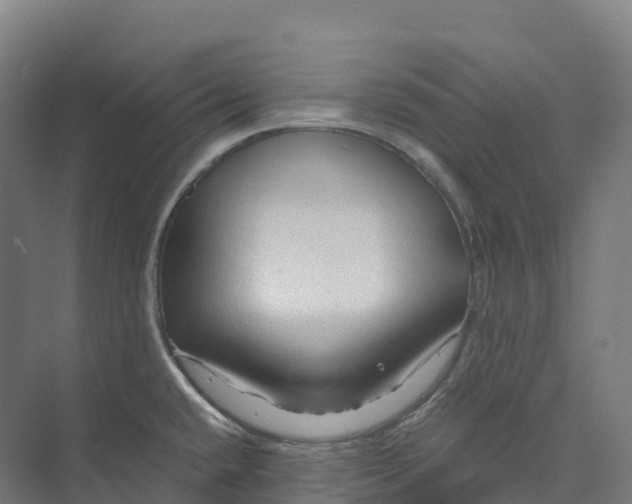 X0000073981432200609181705