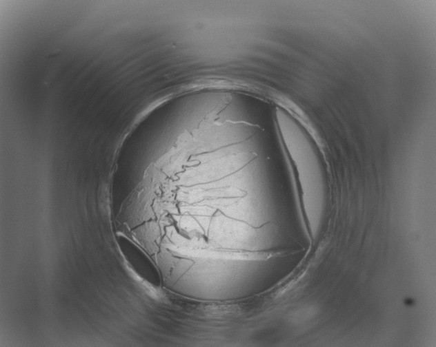 X0000073981433200609181705