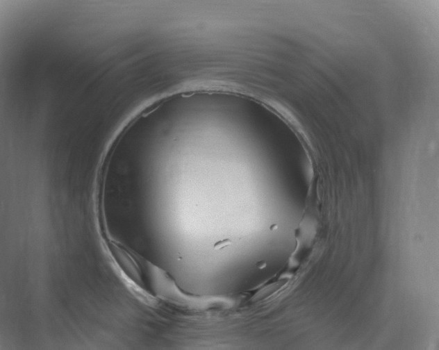 X0000073981438200609181705