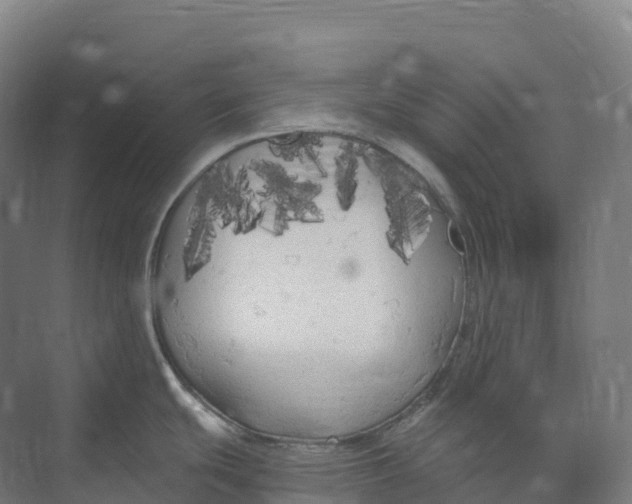 X0000073981439200609181705