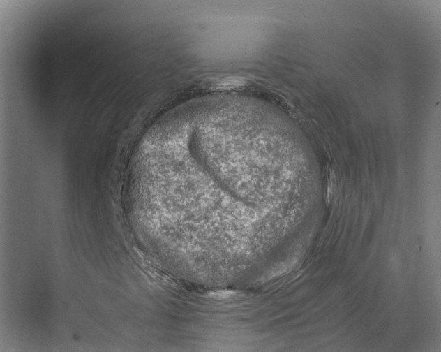 X0000073981441200609181704