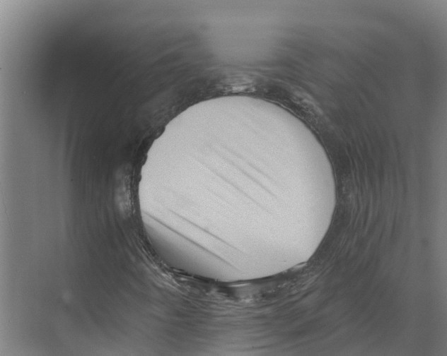 X0000073981442200609181704