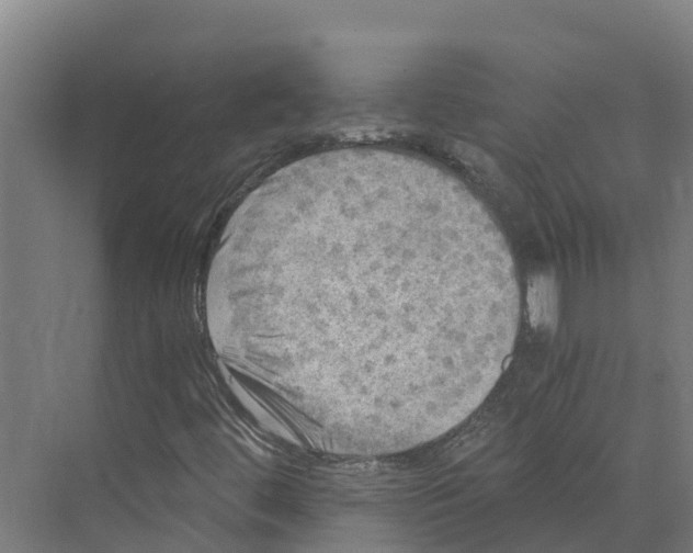 X0000073981444200609181704